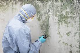 Mold Remediation for Rental Properties in Tiltonsville, OH